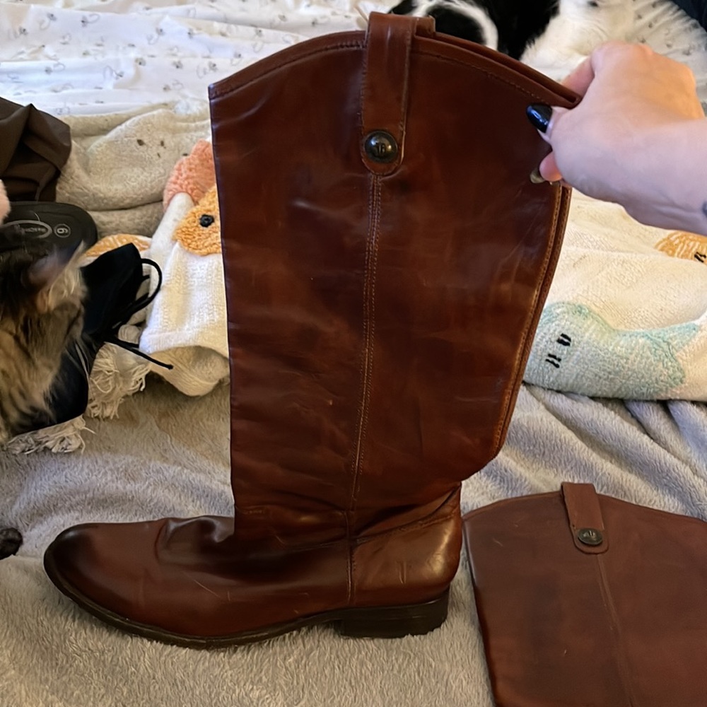 Frye Boots - Picture 2 of 6